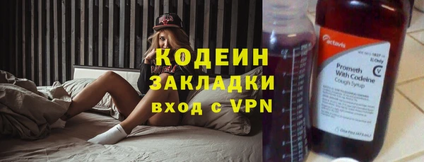 прущие грибы Инсар