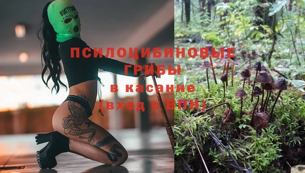 соль ск Иннополис
