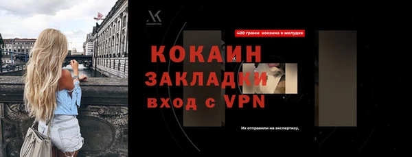 прущие грибы Инсар
