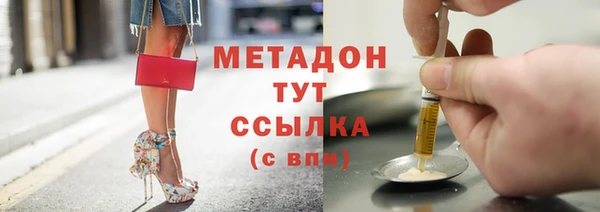 прущие грибы Инсар