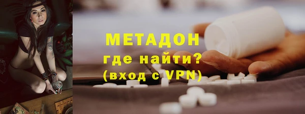 прущие грибы Инсар