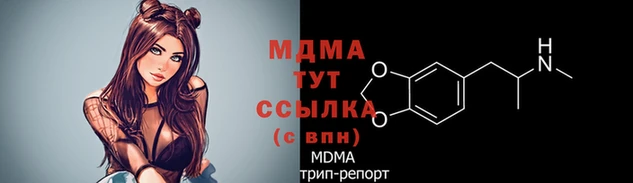 прущие грибы Инсар