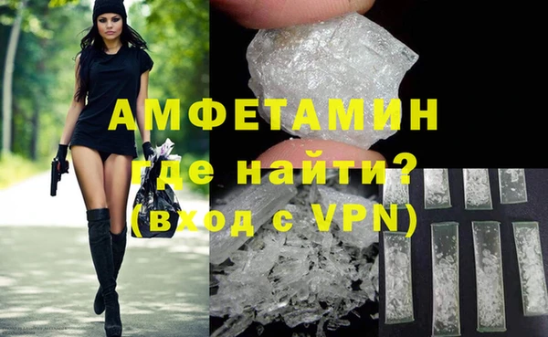 прущие грибы Инсар