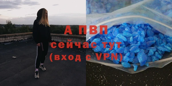 прущие грибы Инсар