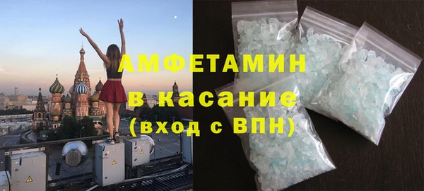 прущие грибы Инсар